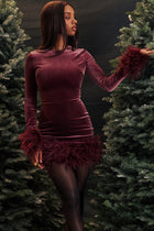 Round-Neck Long-Sleeve Ostrich-Feather Velvet Dress
