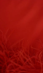 Lena Feather Trimmed Midi Dress Red