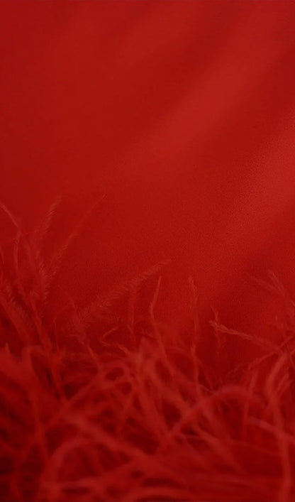 Lena Feather Trimmed Midi Dress Red