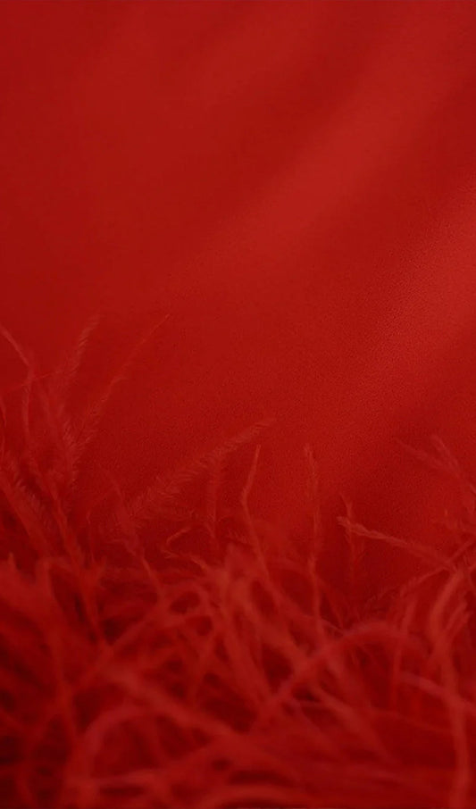 Lena Feather Trimmed Midi Dress Red