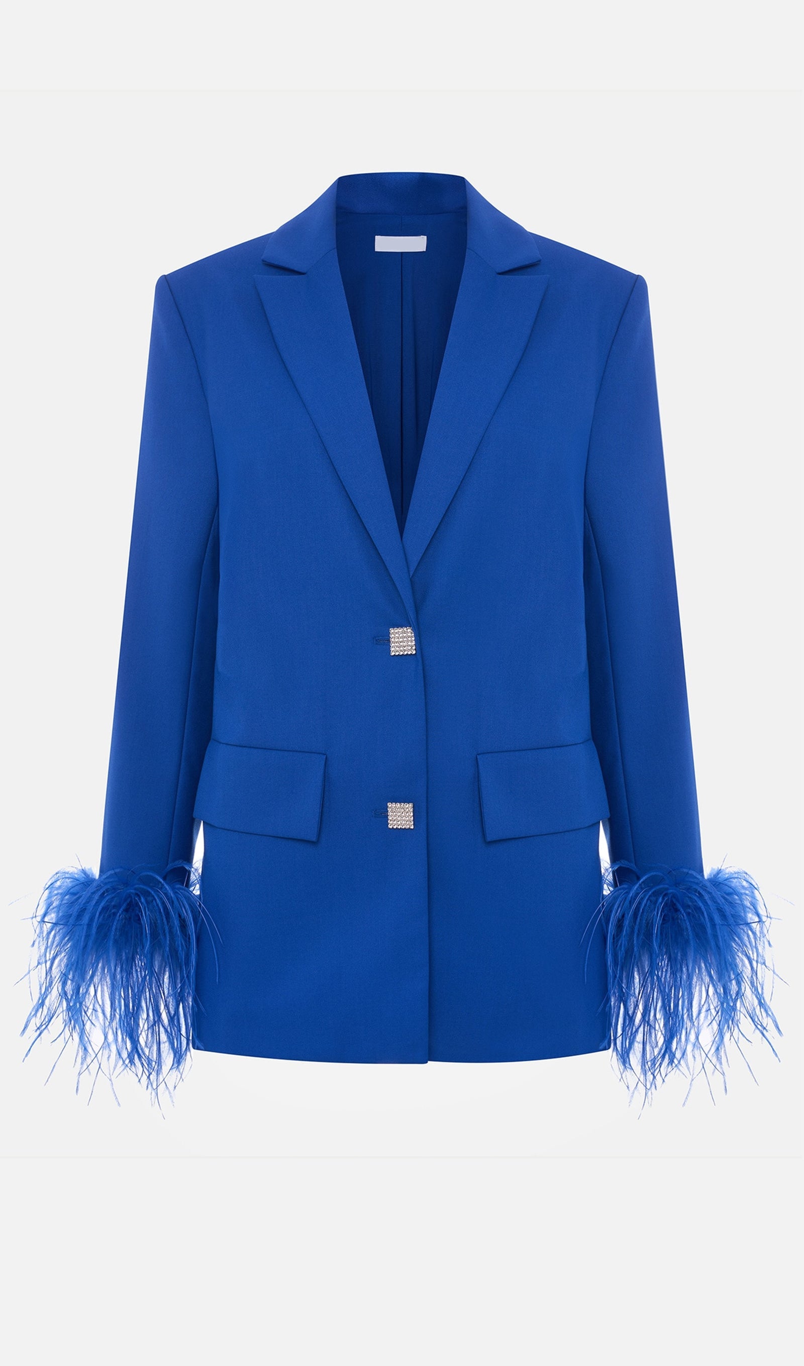 Single Breasted Buttons And Feathers Jacket