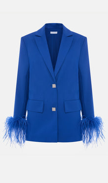 Single Breasted Buttons And Feathers Jacket