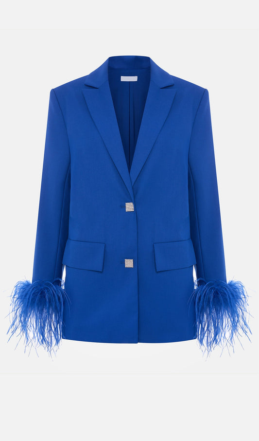 Single Breasted Buttons And Feathers Jacket