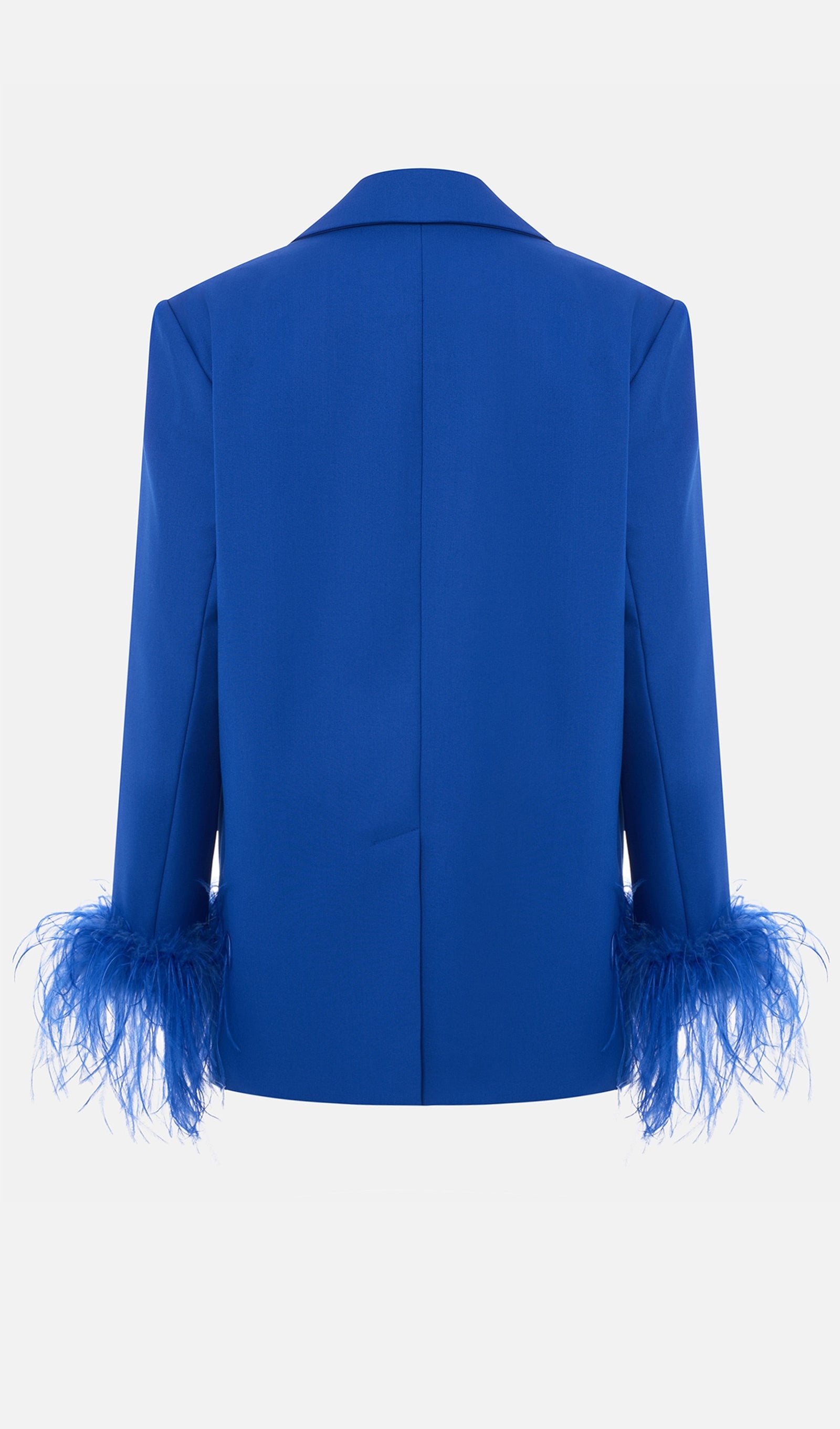 Single Breasted Buttons And Feathers Jacket