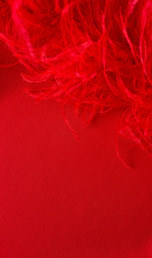 Lena Feather Trimmed Midi Dress Red