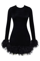 Round-Neck Long-Sleeve Ostrich-Feather Velvet Dress