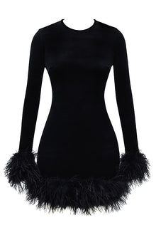 Round-Neck Long-Sleeve Ostrich-Feather Velvet Dress