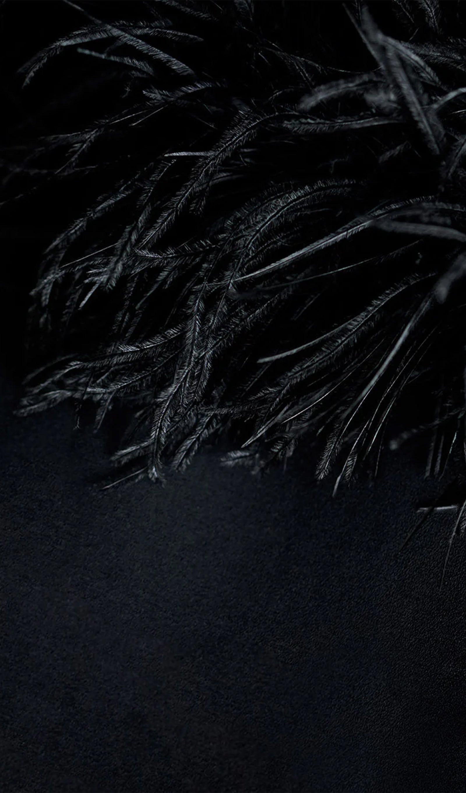 Lena Feather Trimmed Midi Dress Black