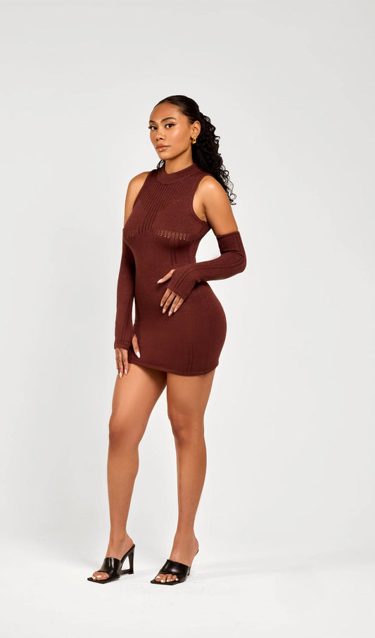 Stretchy Mini Knit Dress Included Sleeves