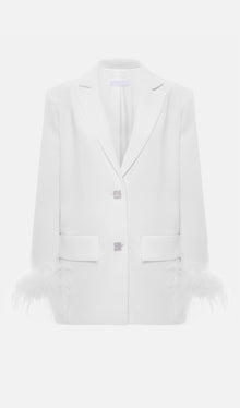 Single Breasted Buttons And Feathers Jacket