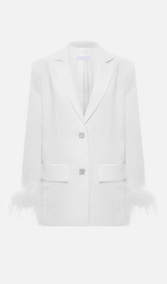 Single Breasted Buttons And Feathers Jacket