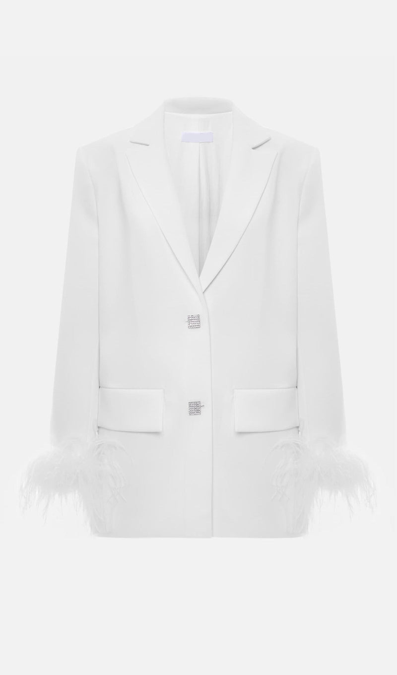 Single Breasted Buttons And Feathers Jacket