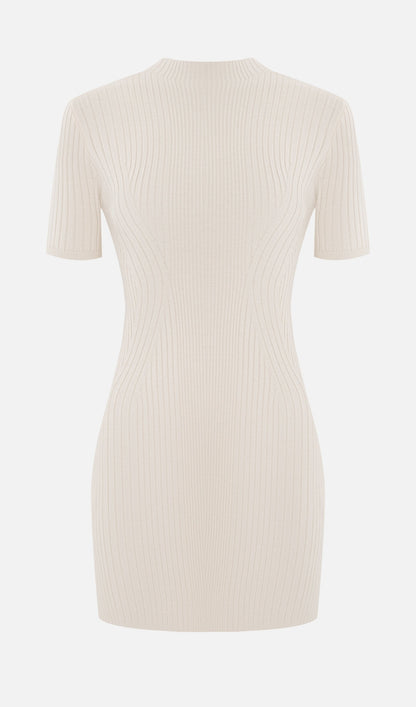 Short Sleeved Rib Knit Mini Dress