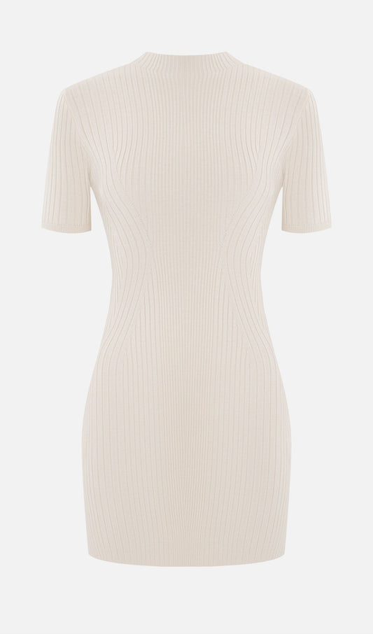 Short Sleeved Rib Knit Mini Dress