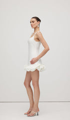 Sleeveless Ruffle Trim Mini Dress