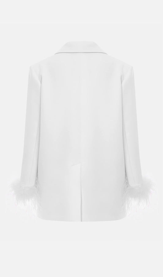 Single Breasted Buttons And Feathers Jacket