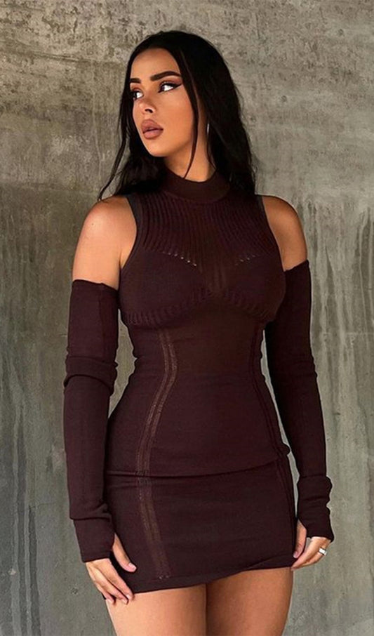Stretchy Mini Knit Dress Included Sleeves