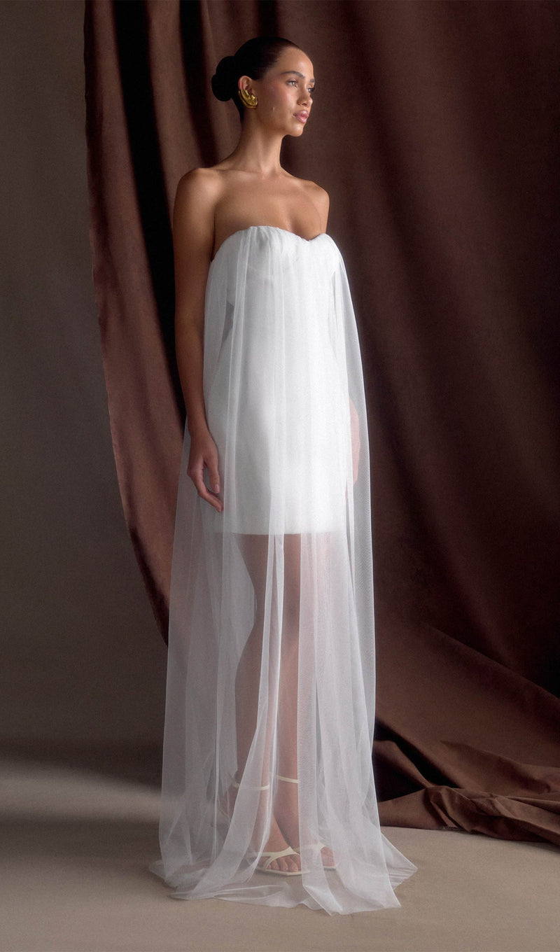 Chiffon Strapless Maxi Dress