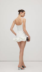 Sleeveless Ruffle Trim Mini Dress