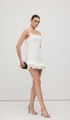 Sleeveless Ruffle Trim Mini Dress