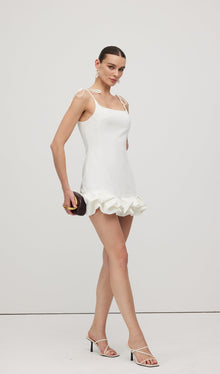 Sleeveless Ruffle Trim Mini Dress