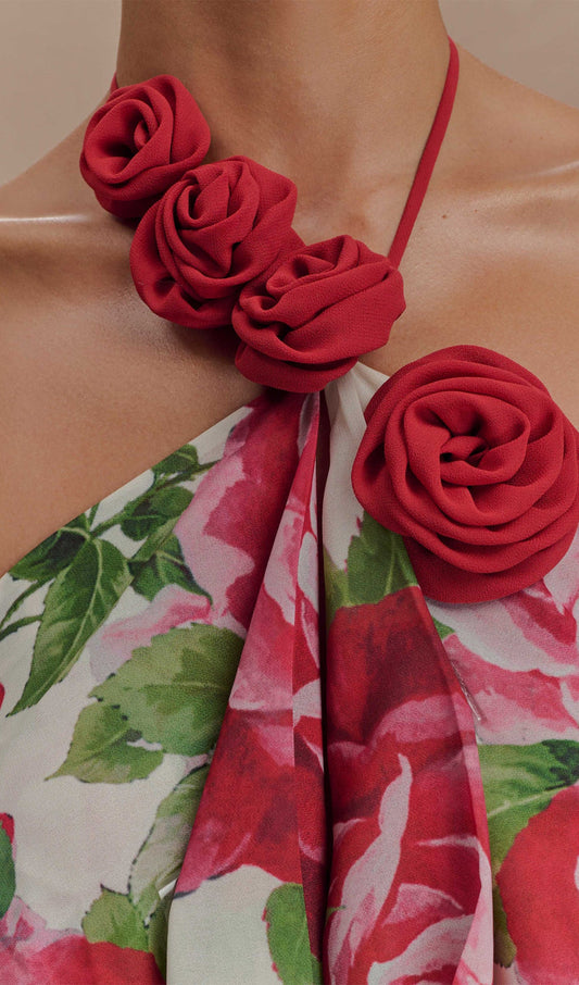 Cowl Neck Maxi Dress