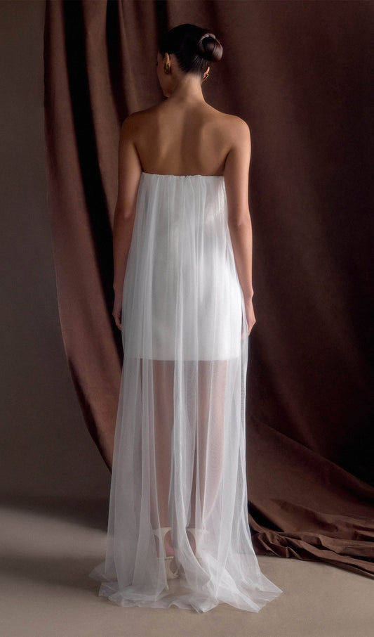 Chiffon Strapless Maxi Dress