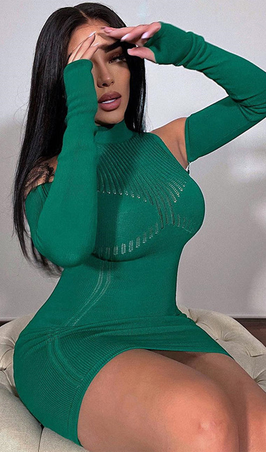Stretchy Mini Knit Dress Included Sleeves