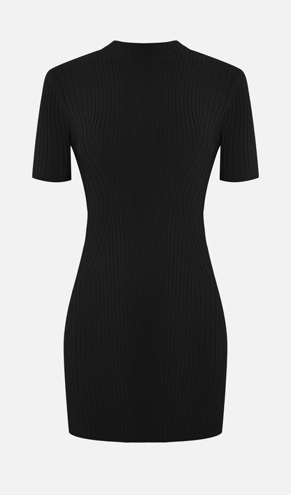 Short Sleeved Rib Knit Mini Dress