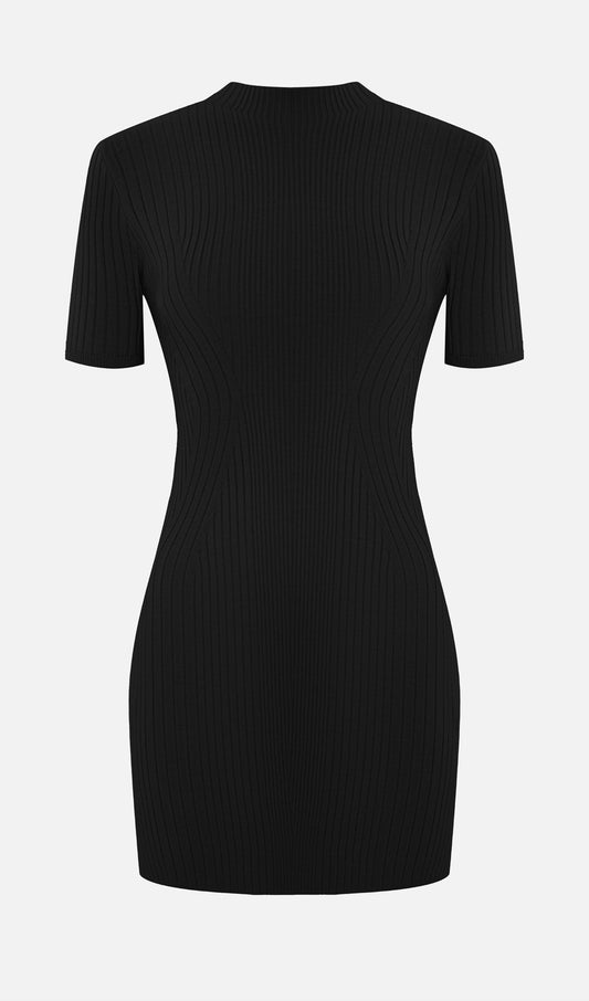 Short Sleeved Rib Knit Mini Dress