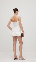 Sleeveless Ruffle Trim Mini Dress