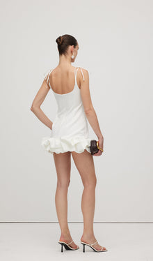 Sleeveless Ruffle Trim Mini Dress