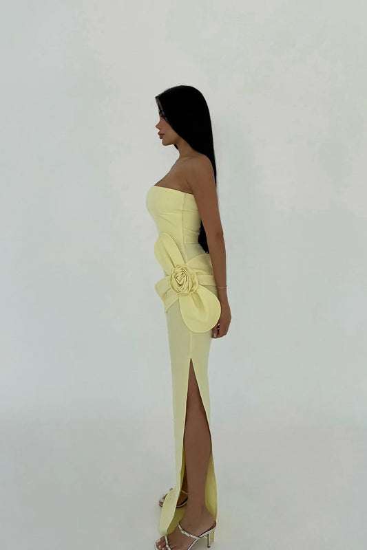 Off shouder Strapless Dress