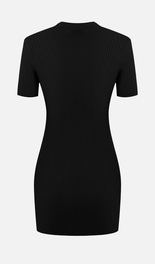 Short Sleeved Rib Knit Mini Dress