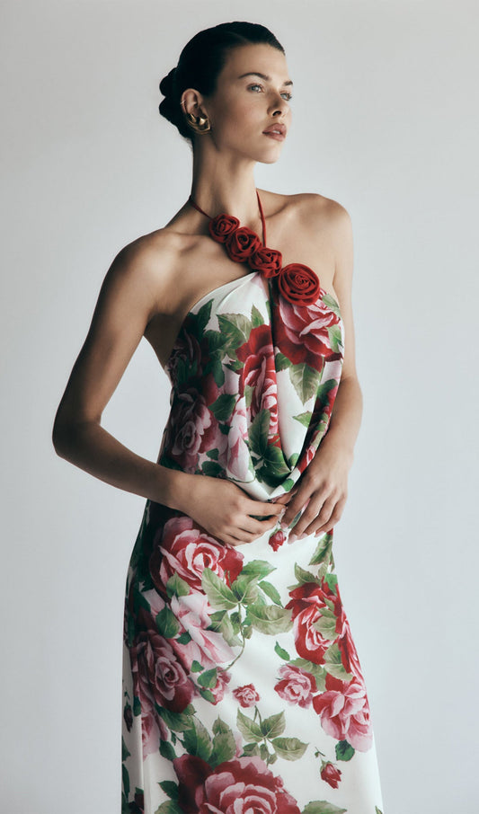 Cowl Neck Maxi Dress