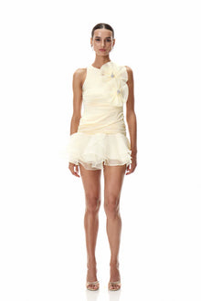 Sleeveless Cutout Mini Dress with 3D Floral Appliqué