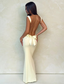 Spaghetti Strap Backless Bodycon with Bow Detail Dress