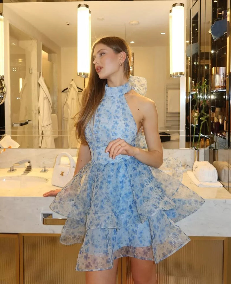 Tank High-Neck Tie-Up Organza Printed Tiered Dress