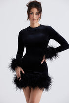 Round-Neck Long-Sleeve Ostrich-Feather Velvet Dress