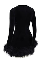 Round-Neck Long-Sleeve Ostrich-Feather Velvet Dress