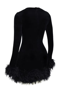 Round-Neck Long-Sleeve Ostrich-Feather Velvet Dress