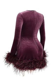 Round-Neck Long-Sleeve Ostrich-Feather Velvet Dress