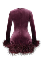 Round-Neck Long-Sleeve Ostrich-Feather Velvet Dress
